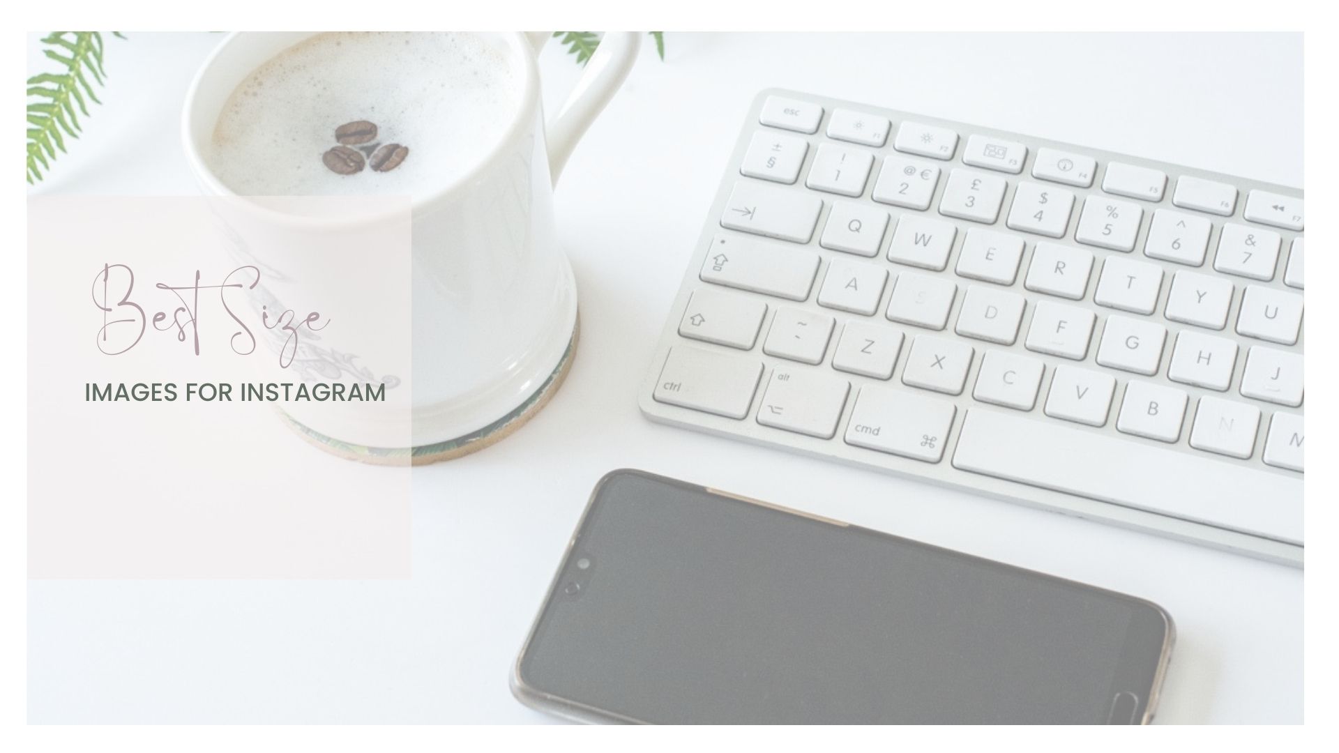 The best sized images for Instagram by Rachel Collins Photography