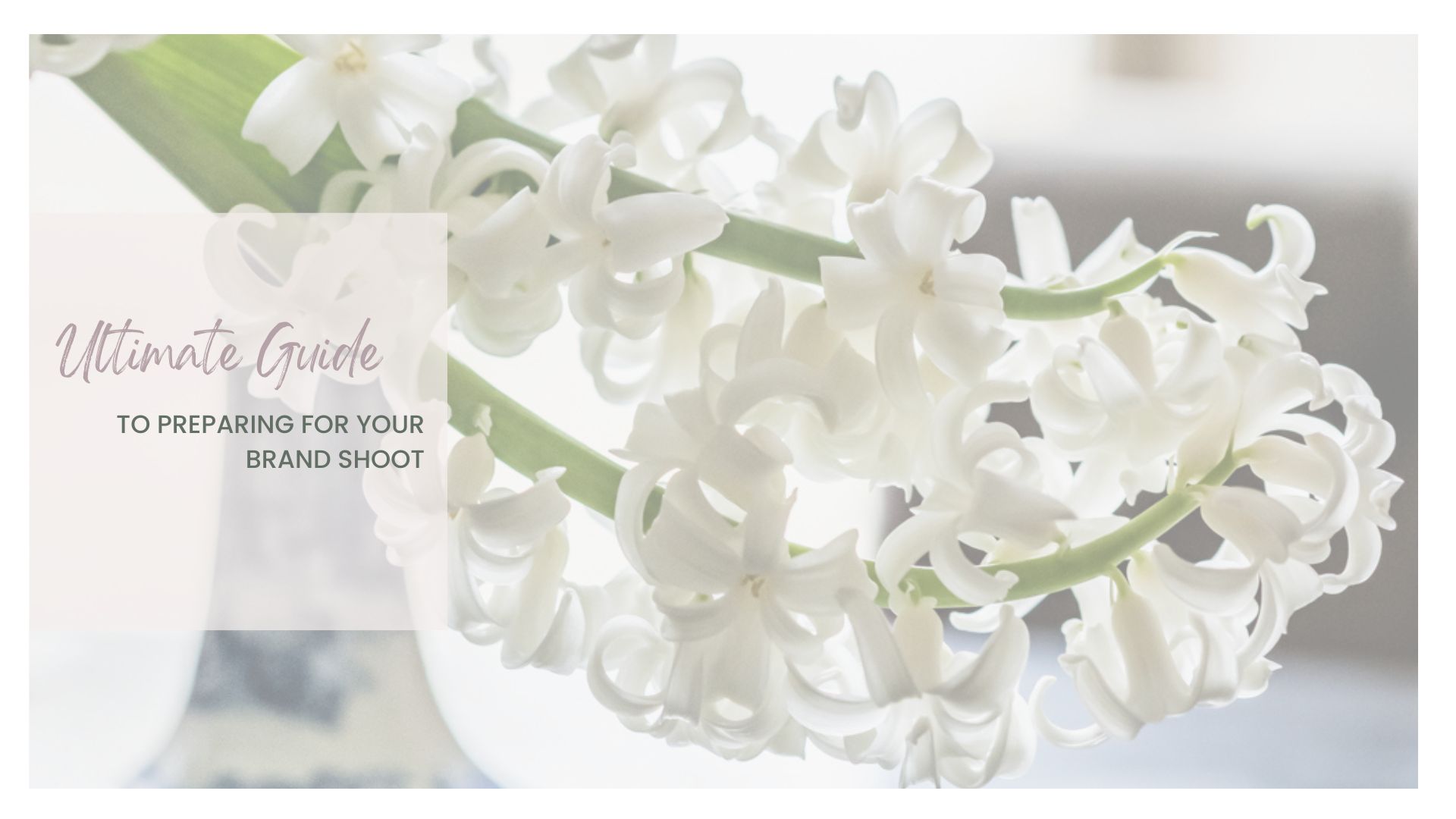 Your ultimate guide to preparing for your branding shoot