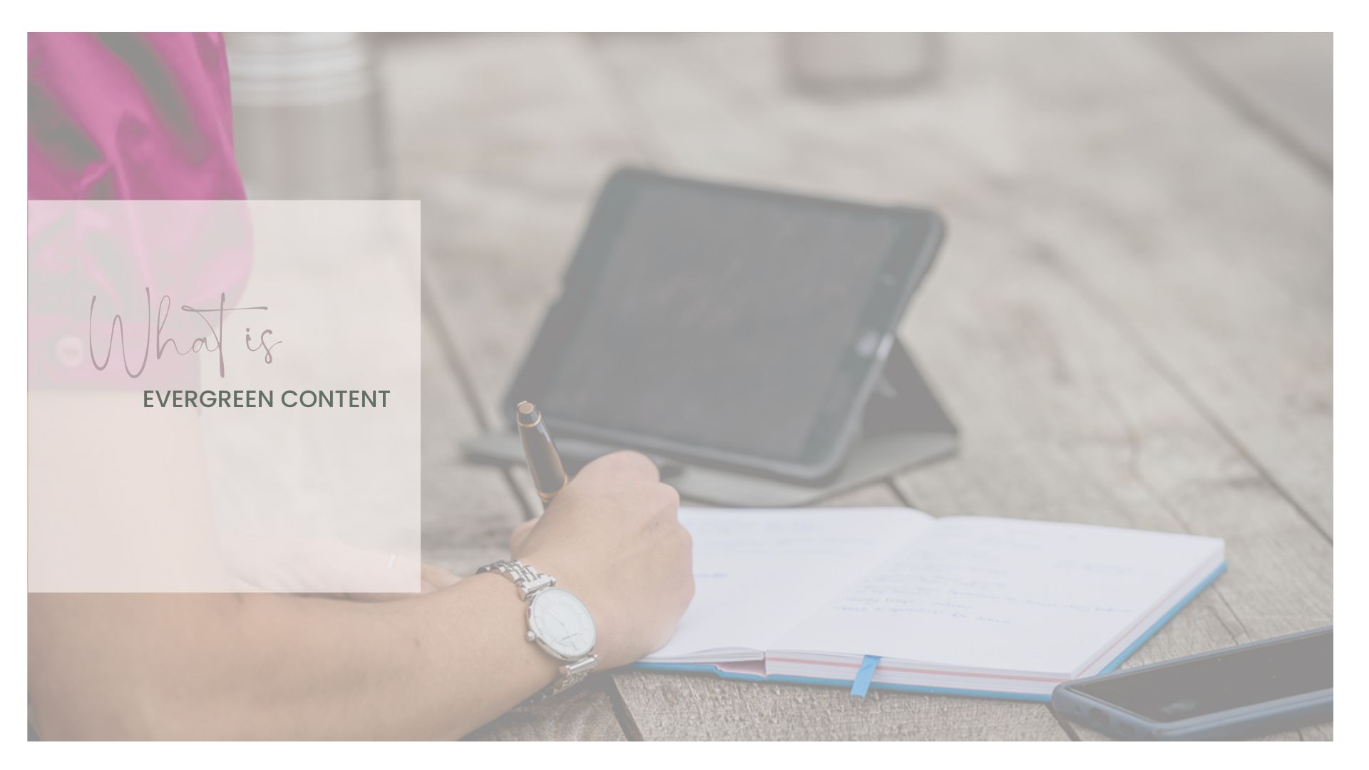 What is evergreen content by Rachel Collins Photography
