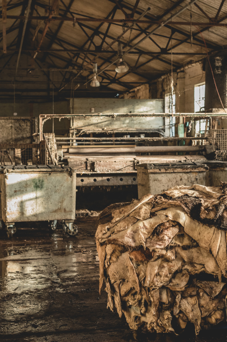 On location with Mackenzie & George at Bakers Tannery