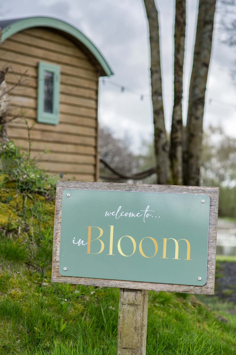 RCP23-BIB23-1-FB In Bloom Beauty a self-build Blackdown Shepherd Hut story