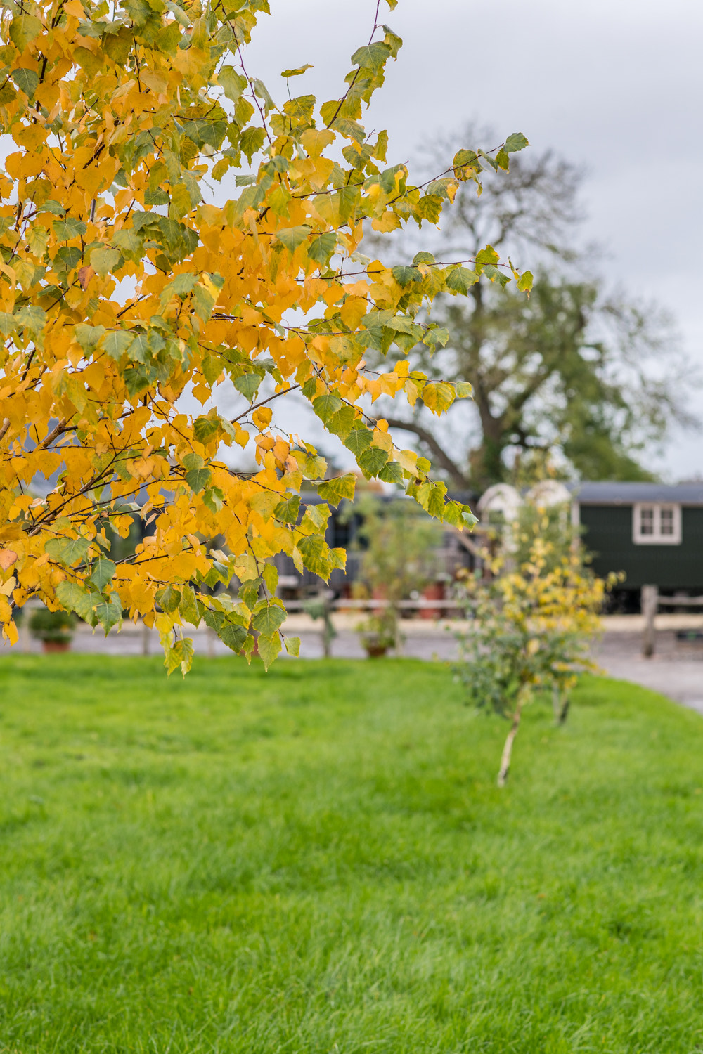 Using Seasonal Images in your Content