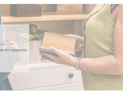 On Location…. Evermore Pet Cremation
